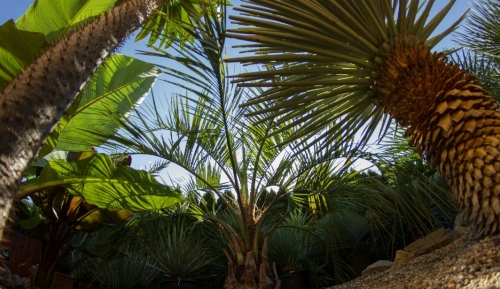 Zahrada 2016 