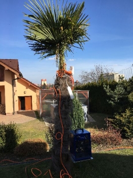 Odzimování 2017 