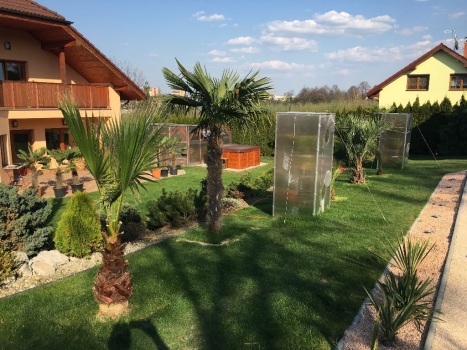 Odzimování 2017 