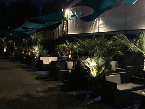 V.I.P. CHILL ZONES - Pronájem palem  - Palm Rentals 