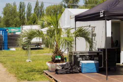 V.I.P. CHILL ZONES - Pronájem palem  - Palm Rentals 