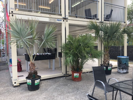 V.I.P. CHILL ZONES - Pronájem palem  - Palm Rentals 