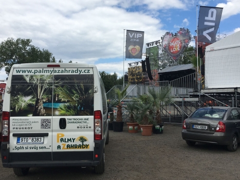 V.I.P. CHILL ZONES - Pronájem palem  - Palm Rentals 