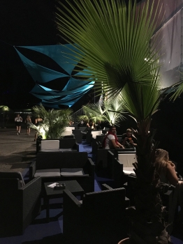 V.I.P. CHILL ZONES - Pronájem palem  - Palm Rentals 