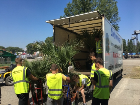 V.I.P. CHILL ZONES - Pronájem palem  - Palm Rentals 