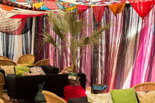 V.I.P. CHILL ZONES - Pronájem palem  - Palm Rentals 