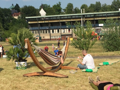 V.I.P. CHILL ZONES - Pronájem palem  - Palm Rentals 