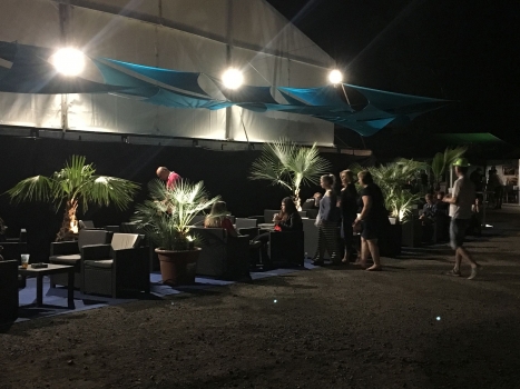V.I.P. CHILL ZONES - Pronájem palem  - Palm Rentals 