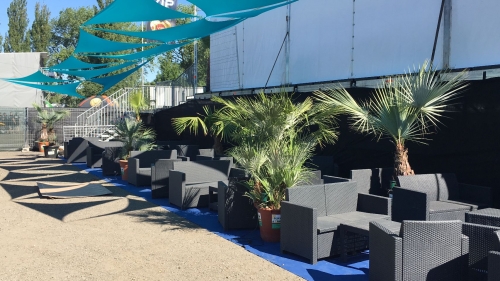V.I.P. CHILL ZONES - Pronájem palem  - Palm Rentals 