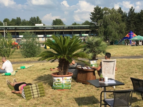 V.I.P. CHILL ZONES - Pronájem palem  - Palm Rentals 