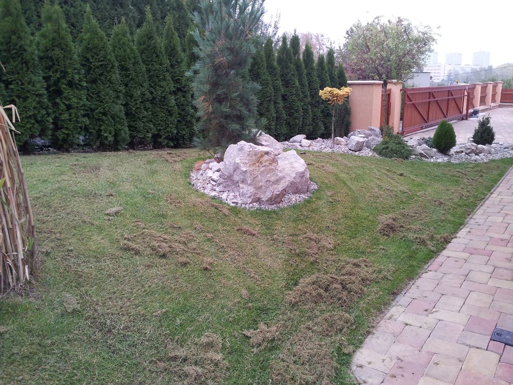 Zahrada 2012 - ruzné pokusy 