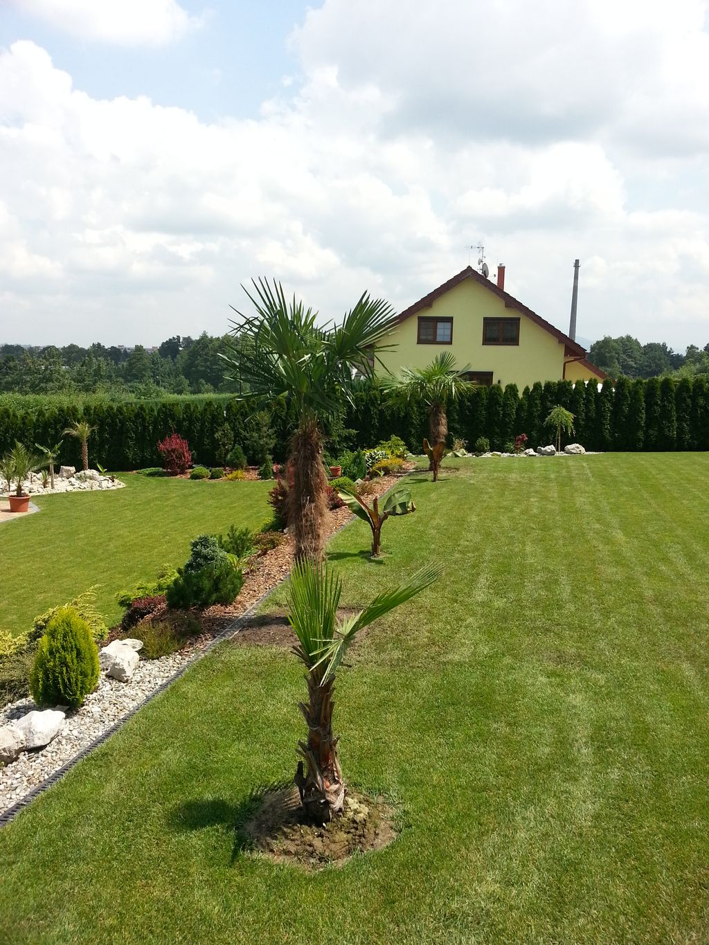 Zahrada - 2013 