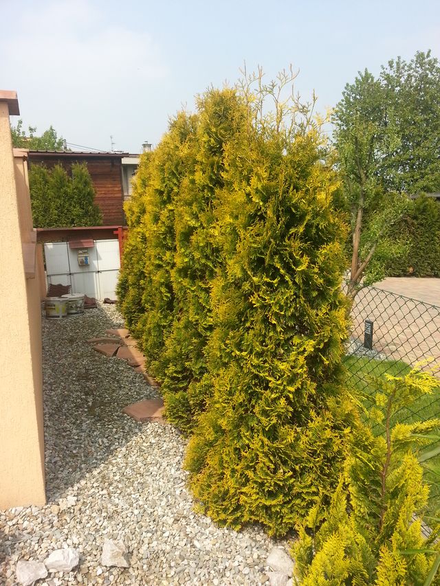 Naše zahrada 2013 
