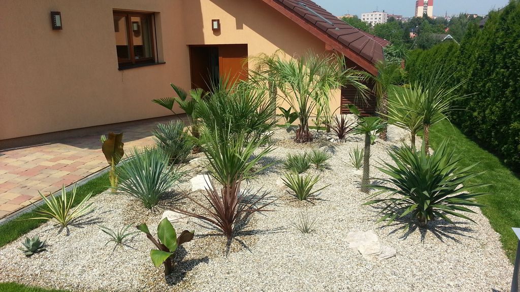 Zahrada 2014 