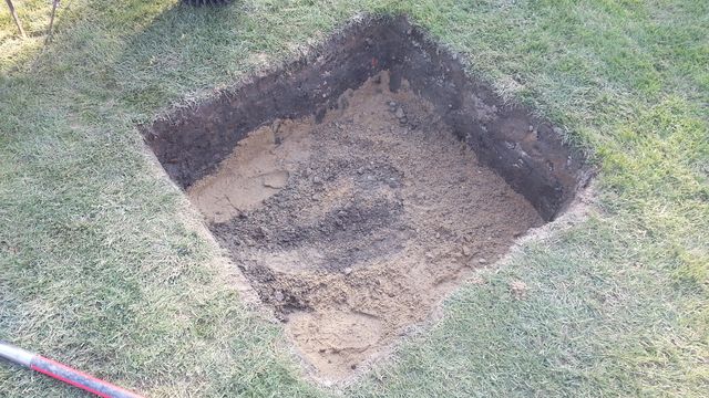 Přípravy zasazení palem 