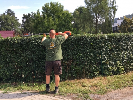 Stříhaní keřů a plotů 