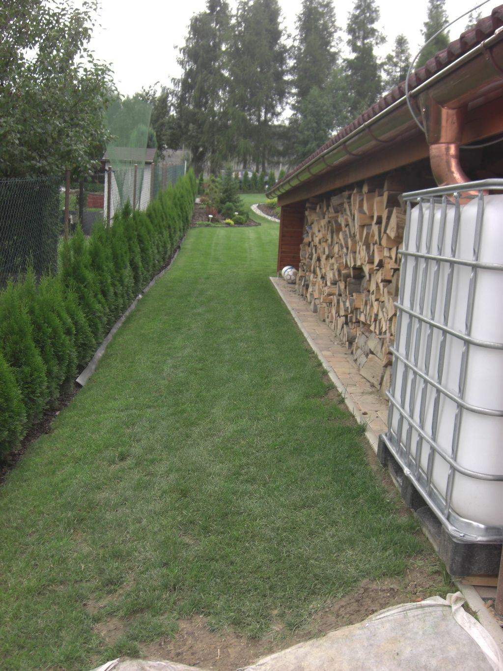 Zahrada 2010 