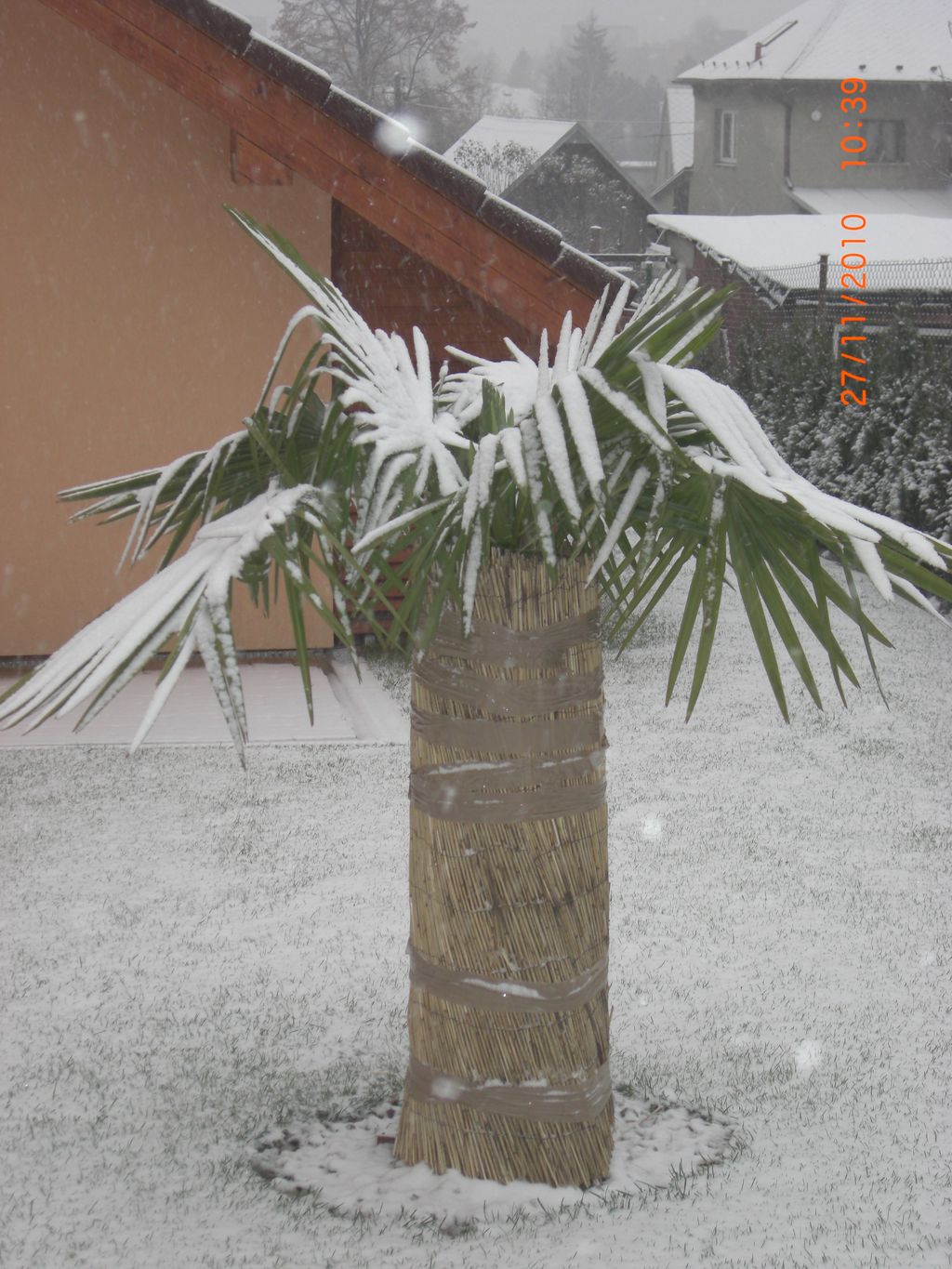 Zahrada 2010 
