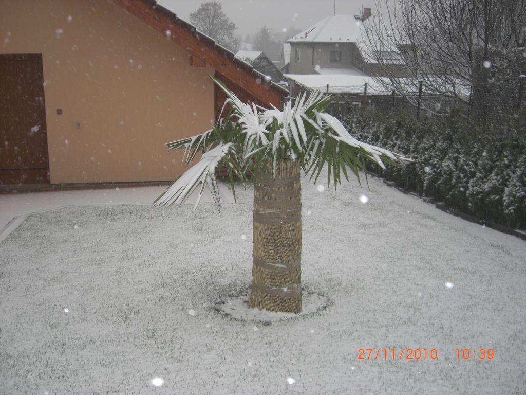 Zahrada 2010 