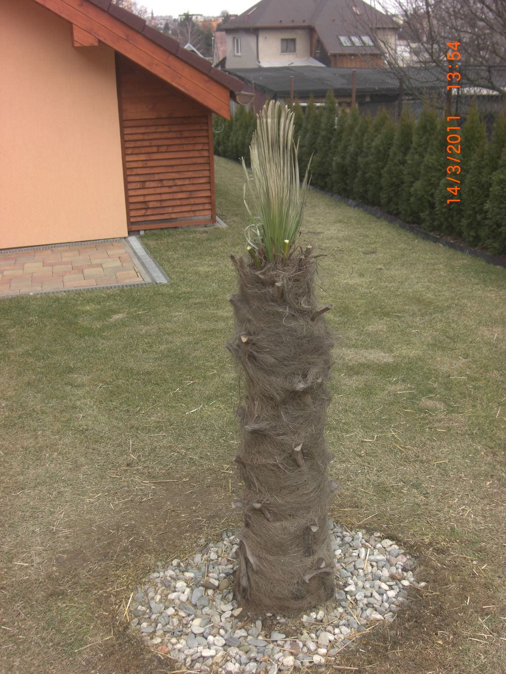 Zahrada 2011 