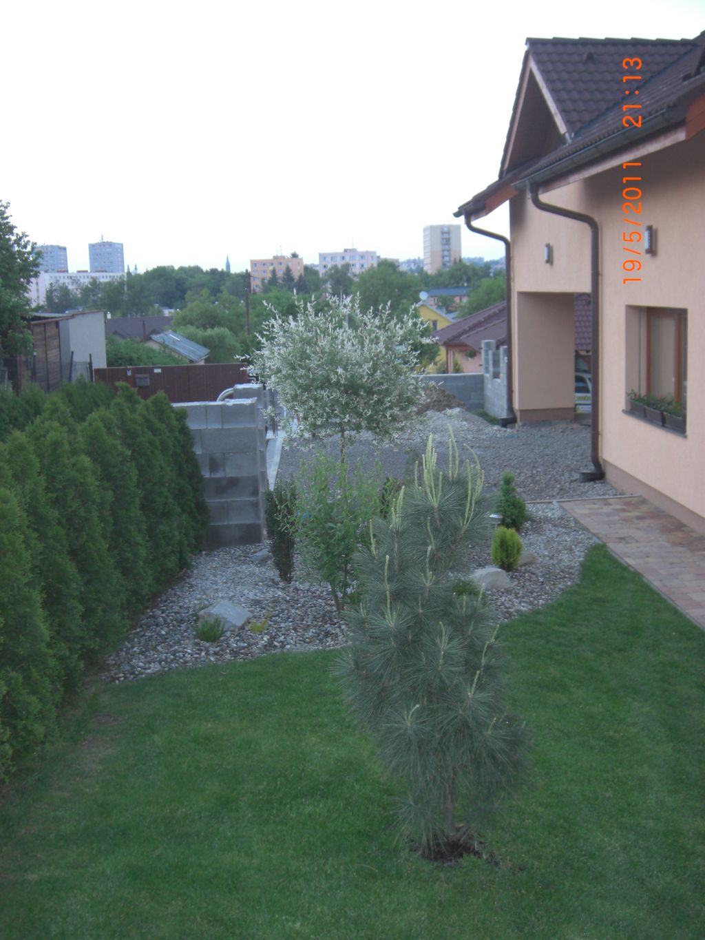 Zahrada 2011 