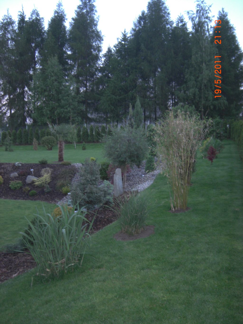 Zahrada 2011 