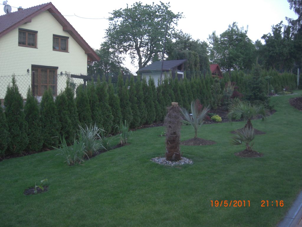 Zahrada 2011 