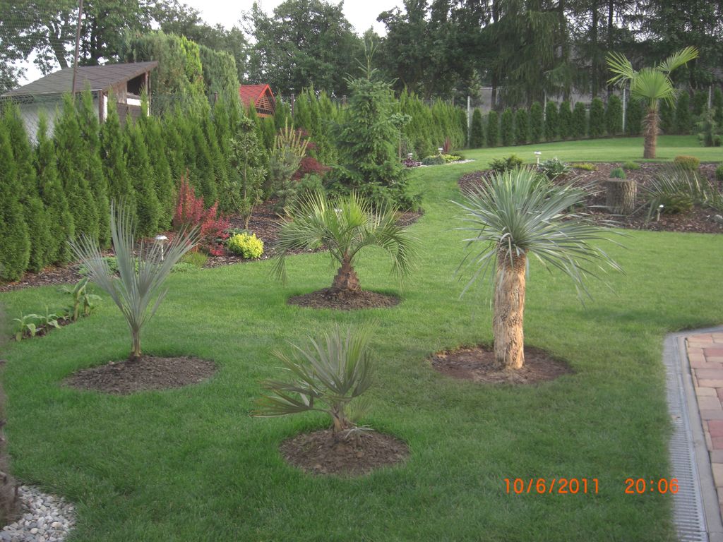 Zahrada 2011 