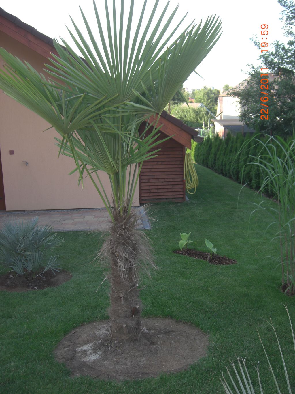 Zahrada 2011 