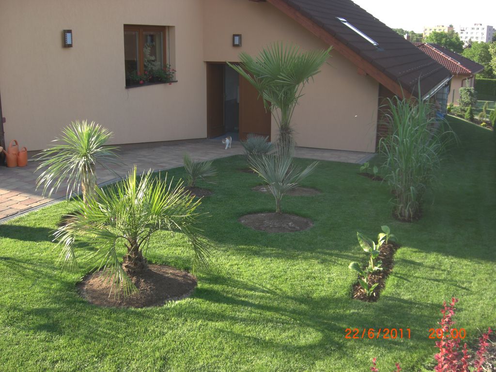 Zahrada 2011 