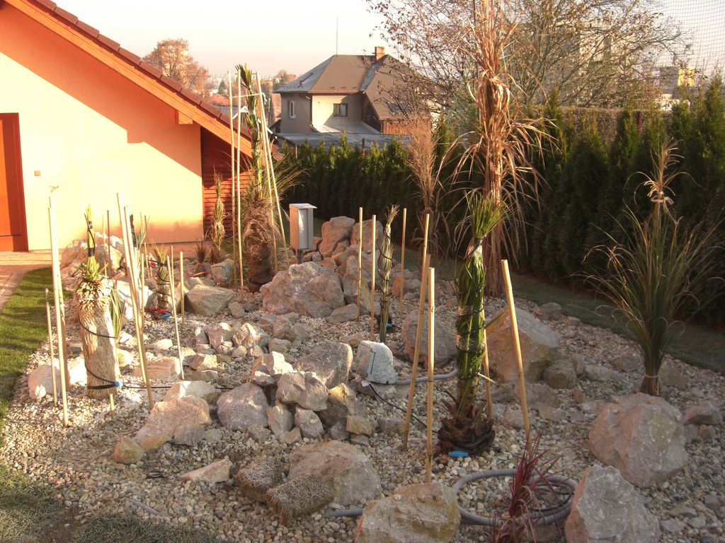Zahrada 2011 
