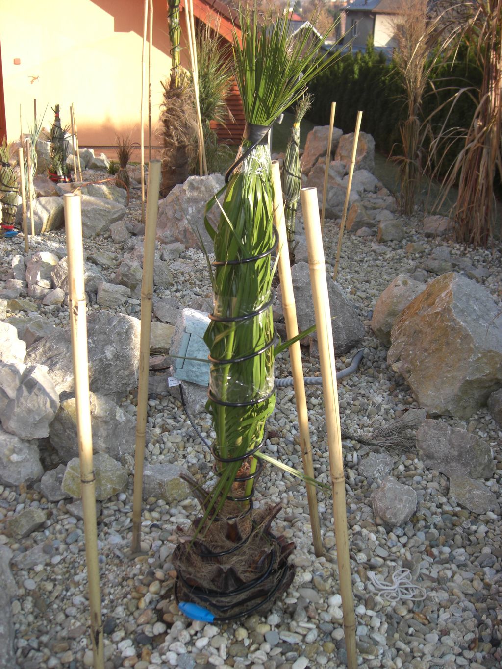 Zahrada 2011 