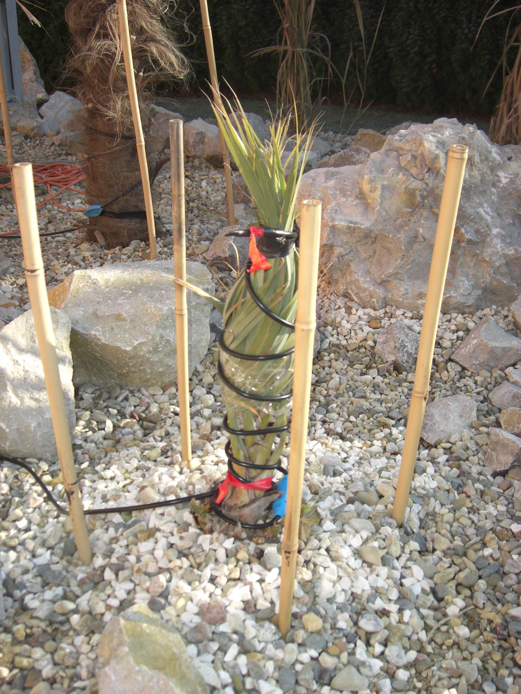 Zahrada 2011 