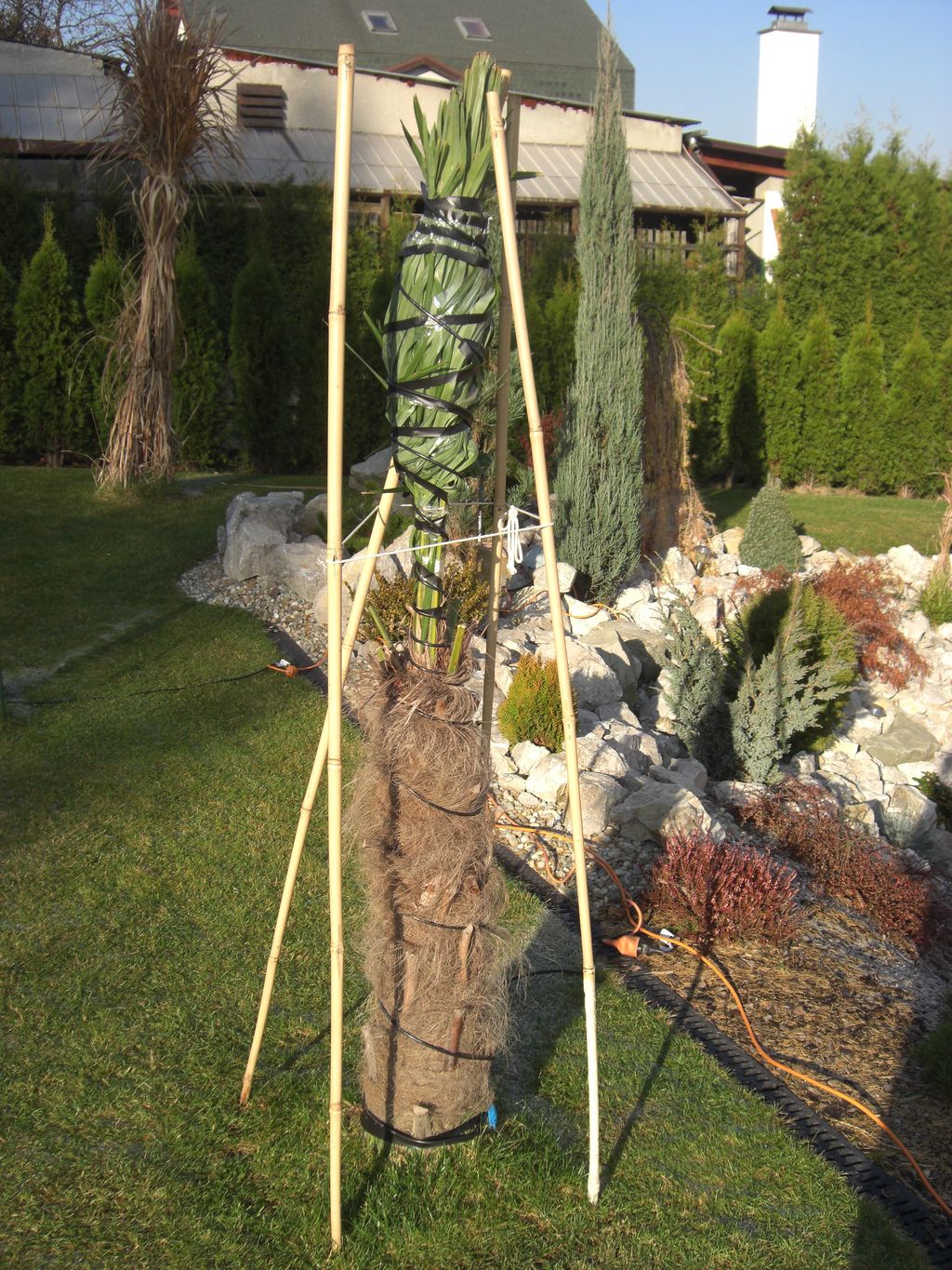 Zahrada 2011 